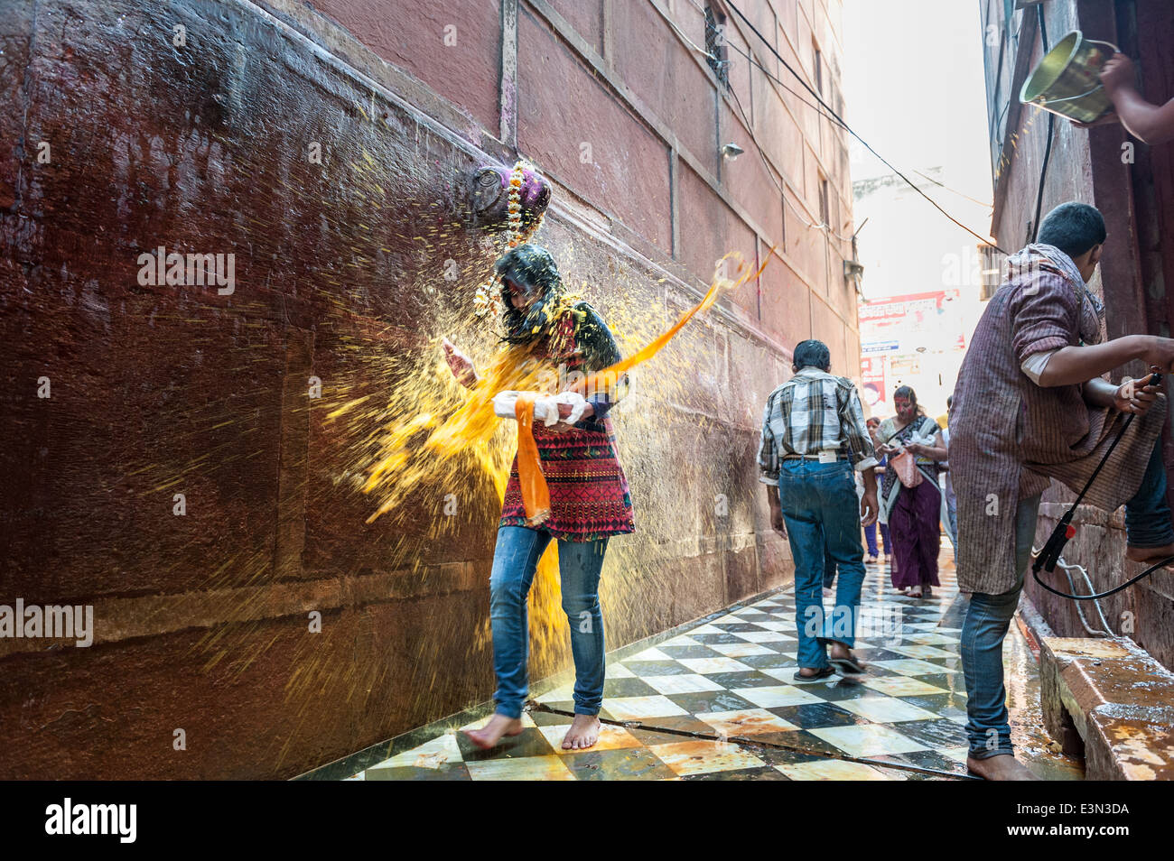 Mädchen in farbigem Wasser getränkt, während der Feierlichkeiten des Holi-fest, Vrindavan, Indien Stockfoto