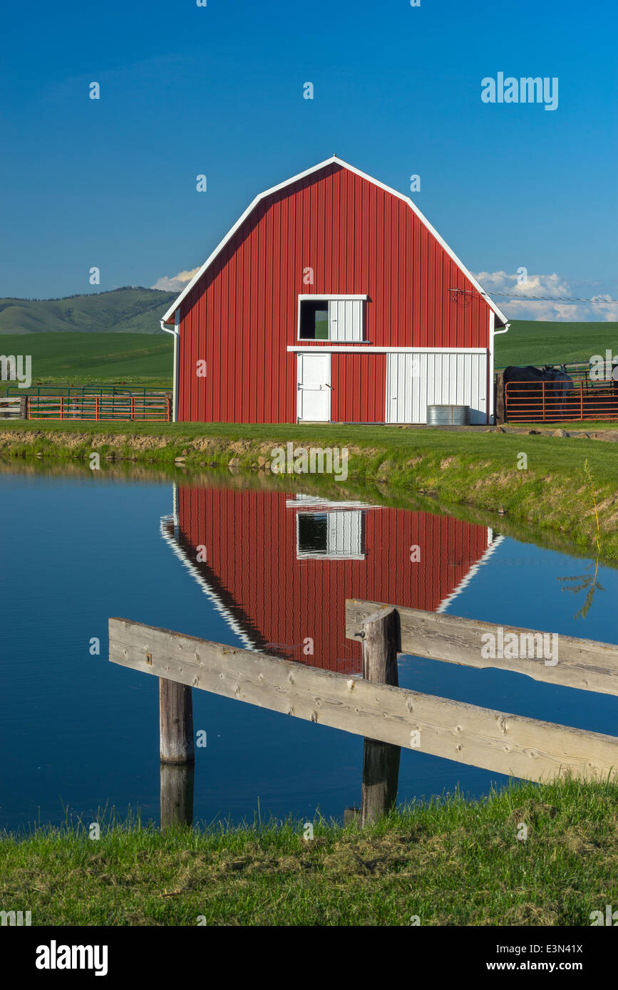 Palouse, Whitman County, WA: Rote Scheune und Teich Reflexion Stockfoto
