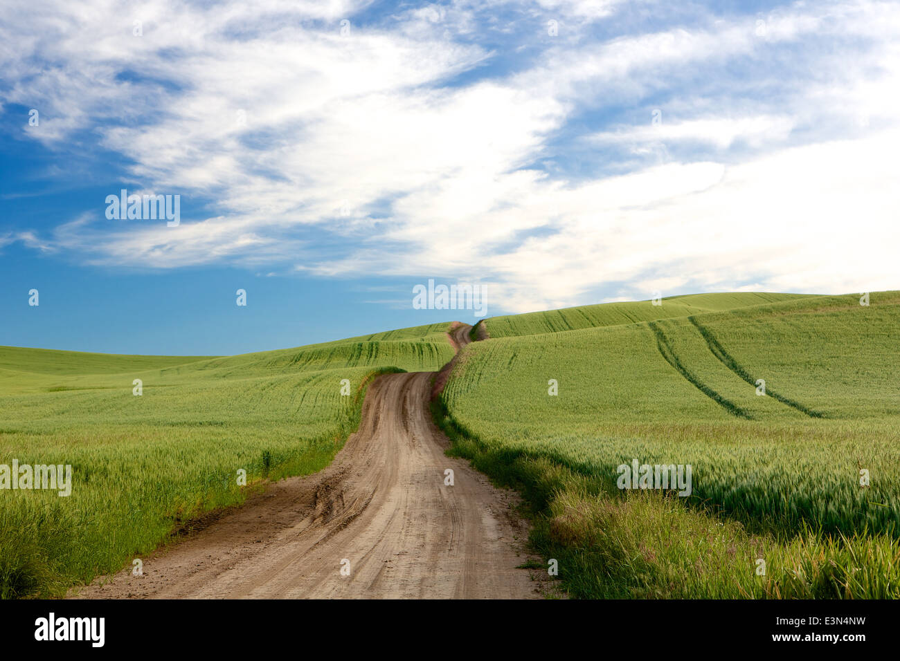 Wunderschöne Country-Szene einer unbefestigten Straße in Amerikas, die landwirtschaftliche Region des Palouse im Staat Washington und Idaho. Stockfoto