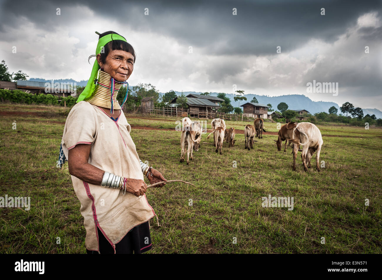 Padaung Frau Bewachung der Rinderherden, Loikaw Bereich, Myanmar, Asien Stockfoto