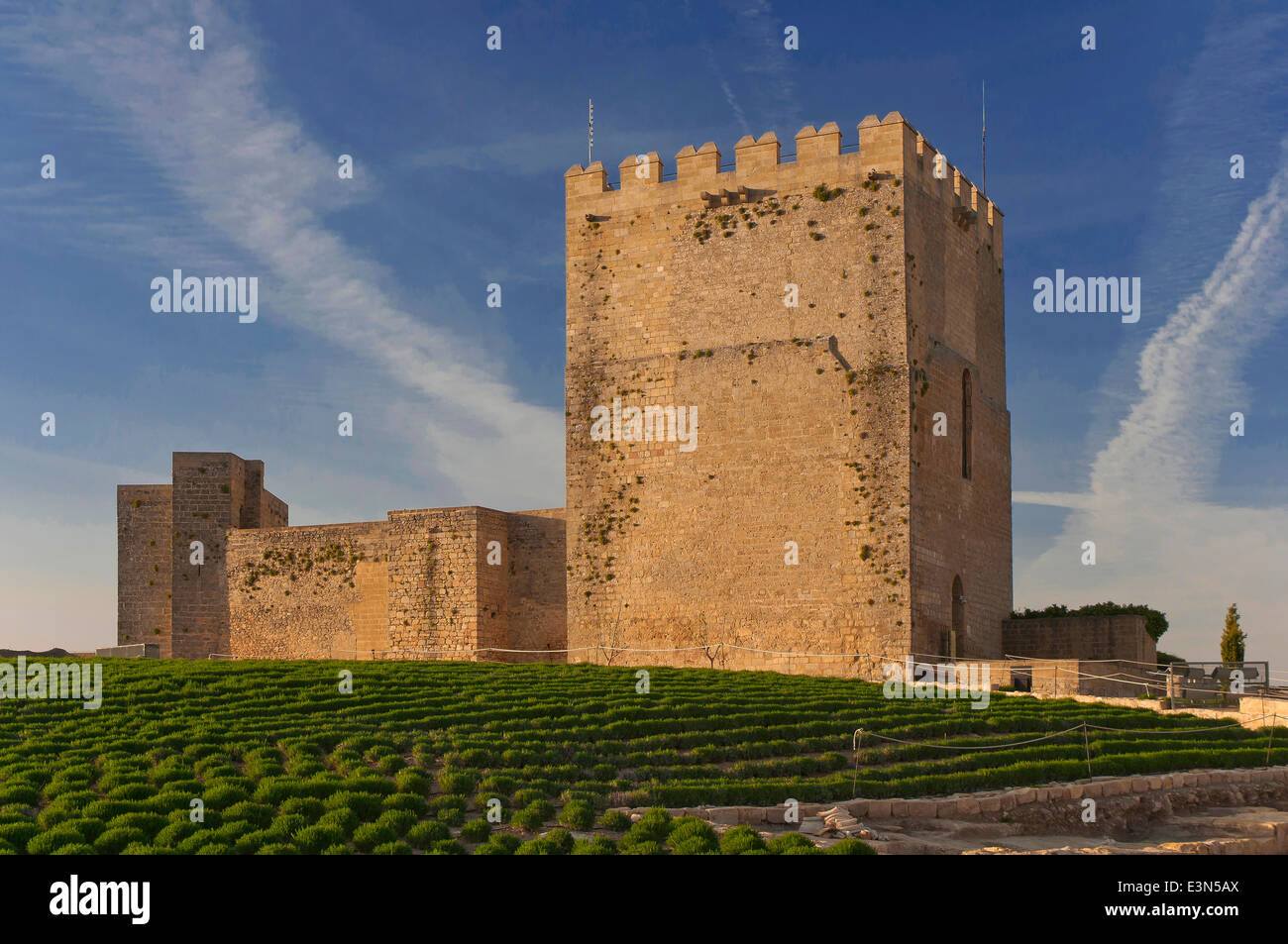 Alcazaba, La Mota Festung, Alcalá la Real, Jaen-Provinz, Region von Andalusien, Spanien, Europa Stockfoto