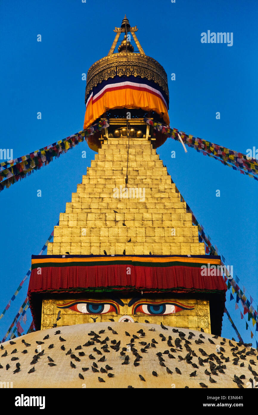 Gebetsfahnen überfliegen der buddhistischen Reliquie Inhaber BODHANATH STUPA, einer der größten in der Welt - KATHAMANDU, NEPAL Stockfoto