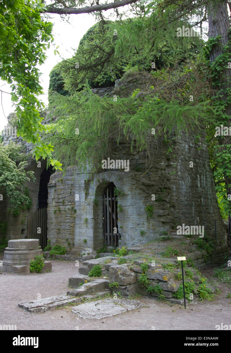 St. Olof Ruine im Botanischen Garten in Visby auf der Insel Gotland, Schweden Stockfoto