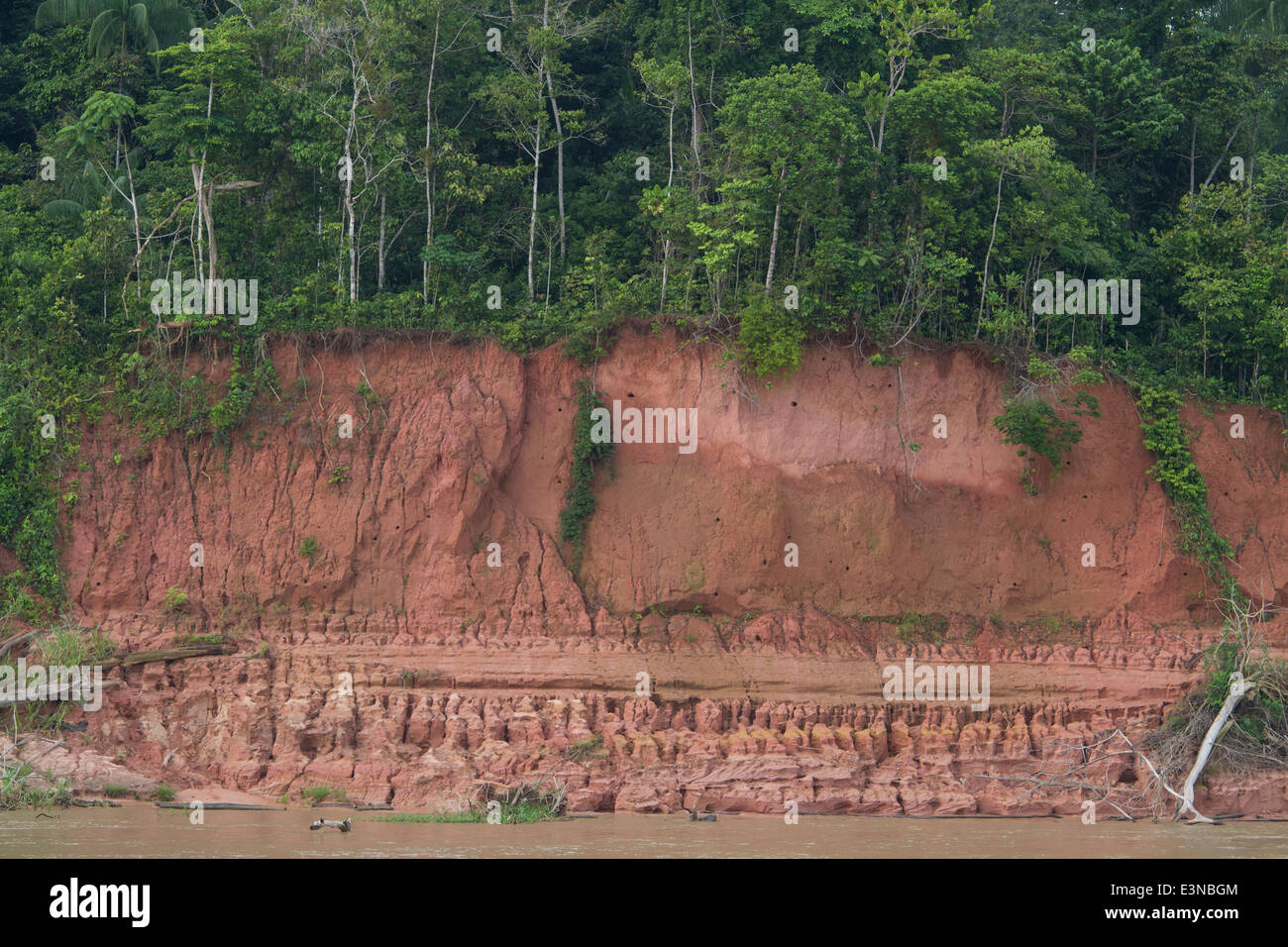 Flussufer-Erosion Stockfoto