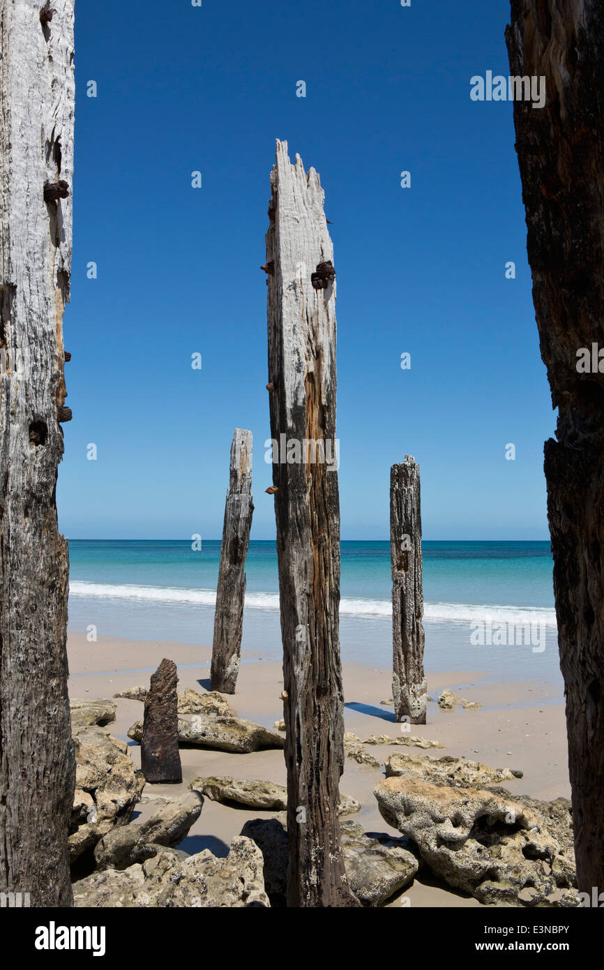 Holzstangen am Strand gegen klaren Himmel Stockfoto