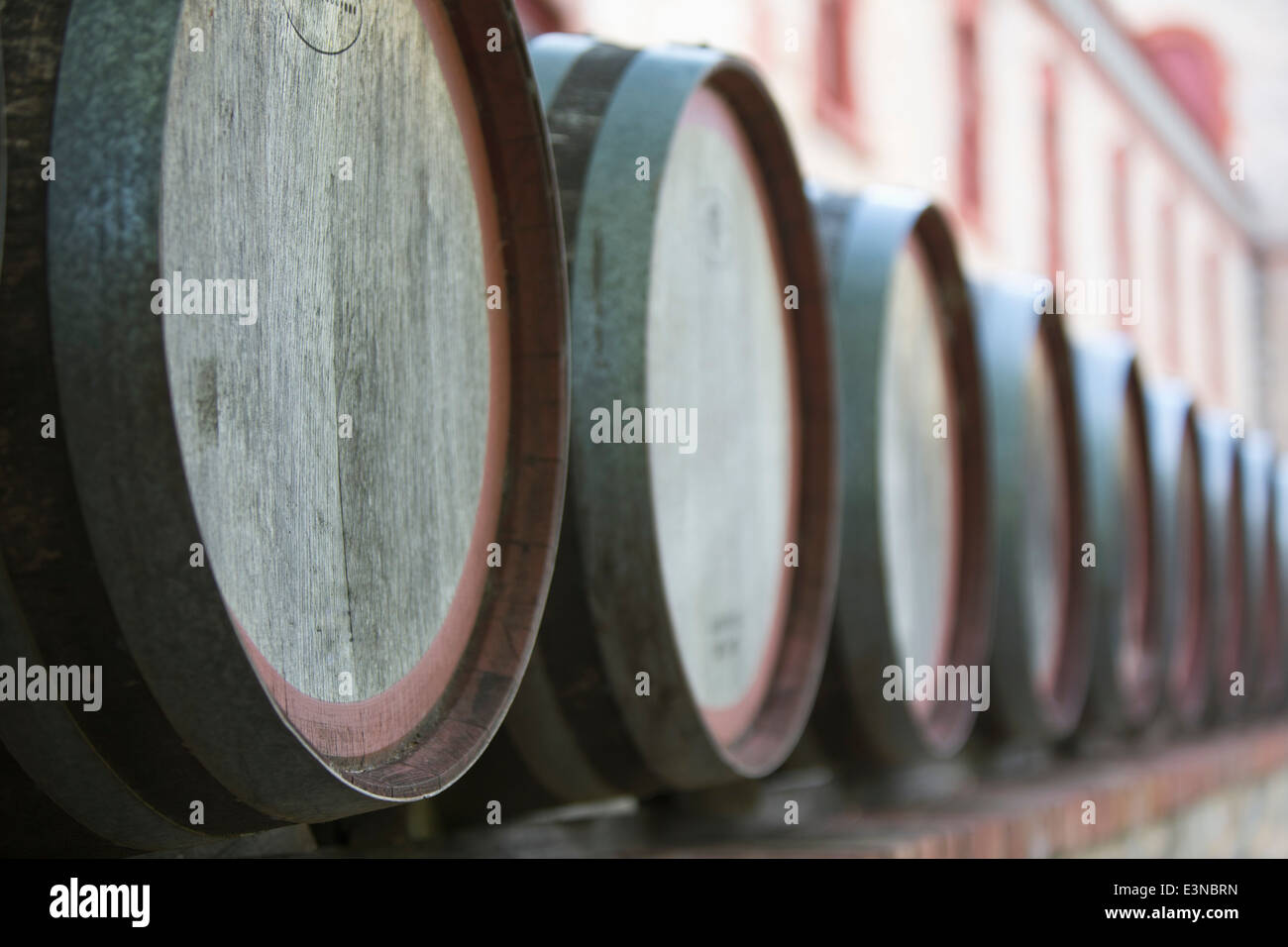 Weinfässer im Keller Stockfoto