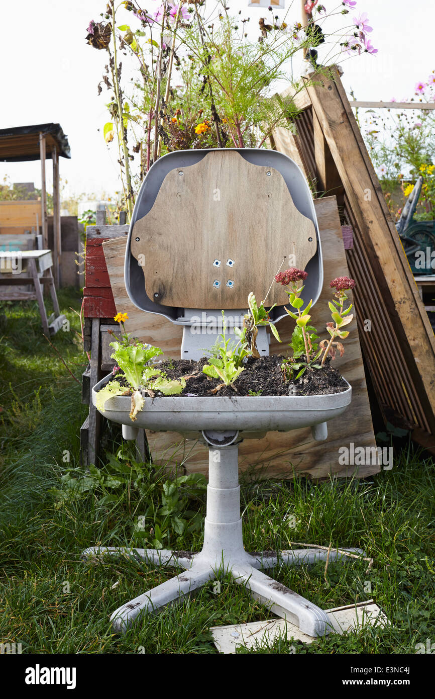 Pflanzen wachsen auf Stuhl im Garten Stockfoto