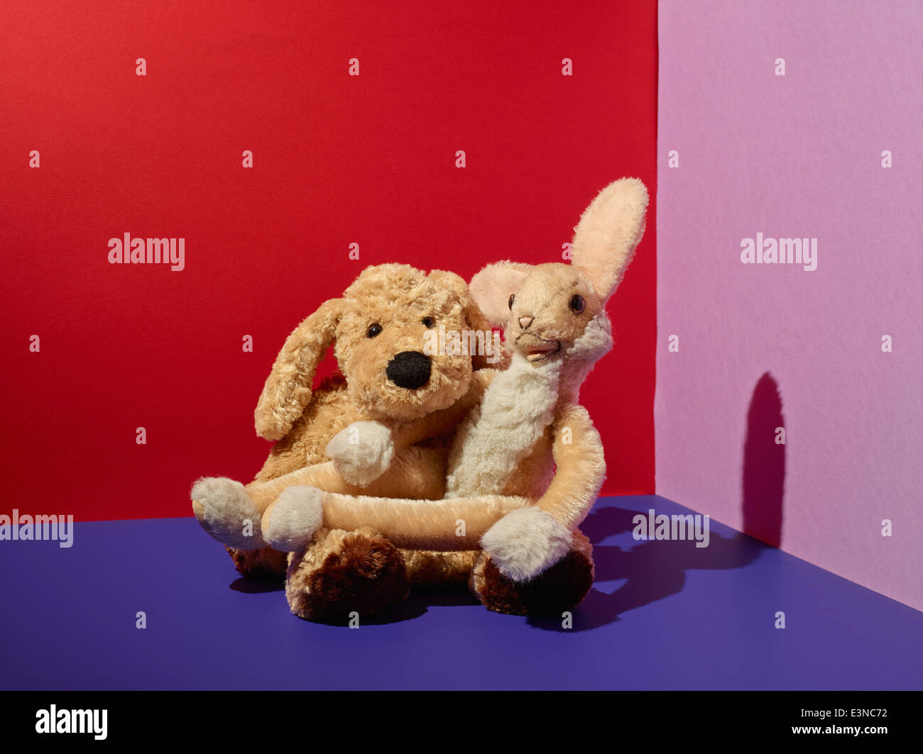 Teddybären in bunten Zimmer Erdgeschoss Stockfoto