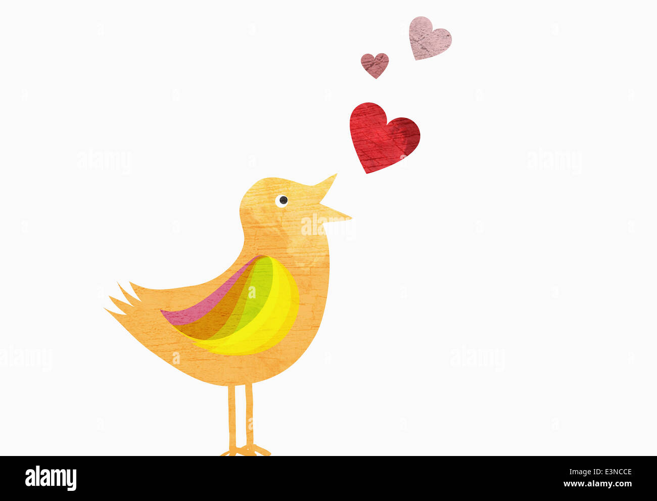Singvogel mit Herzformen was Liebe vor weißem Hintergrund Stockfoto