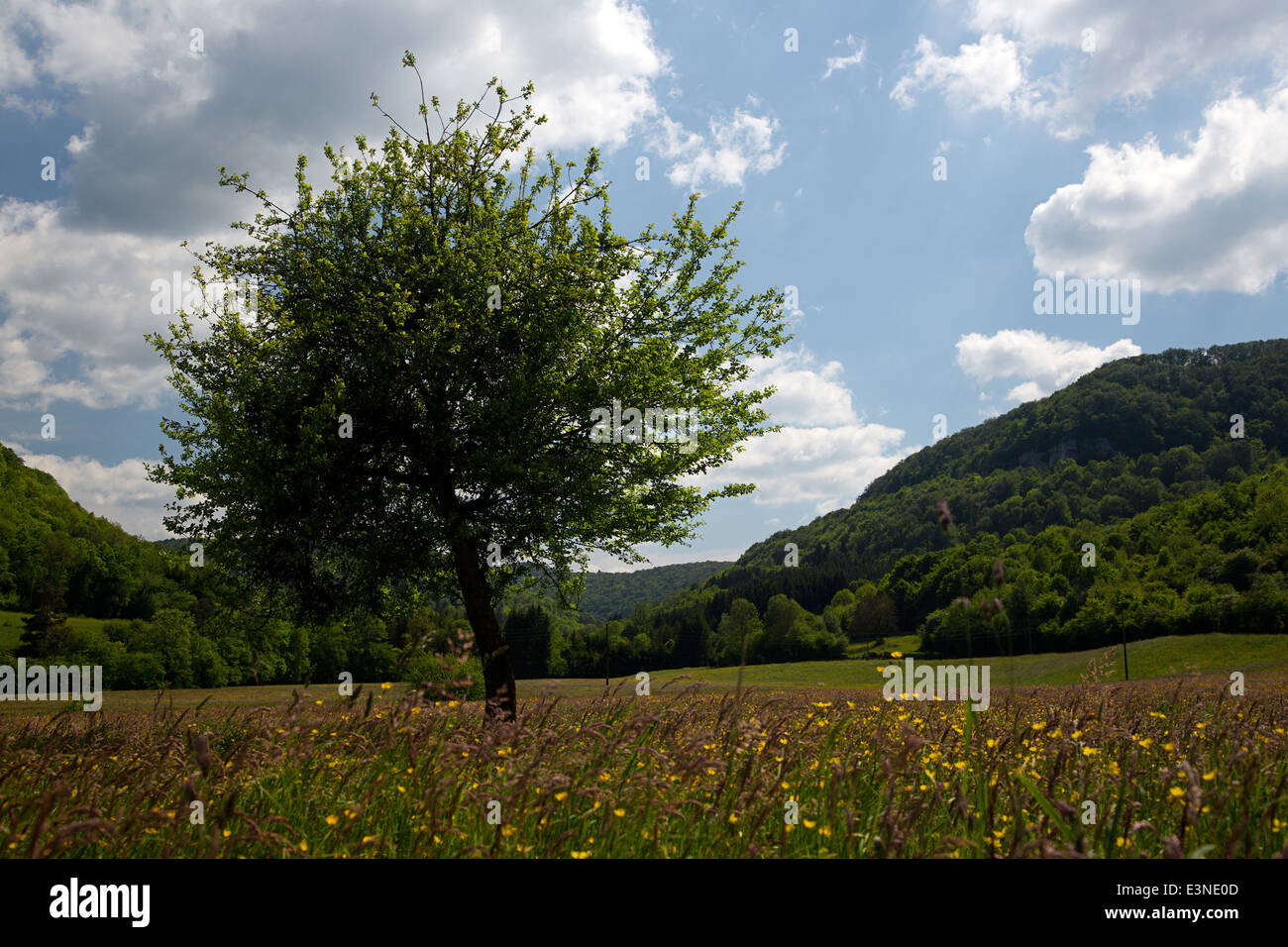 Agrarlandschaft bei Ornans, Franche-Comté, Doubs, Frankreich Stockfoto