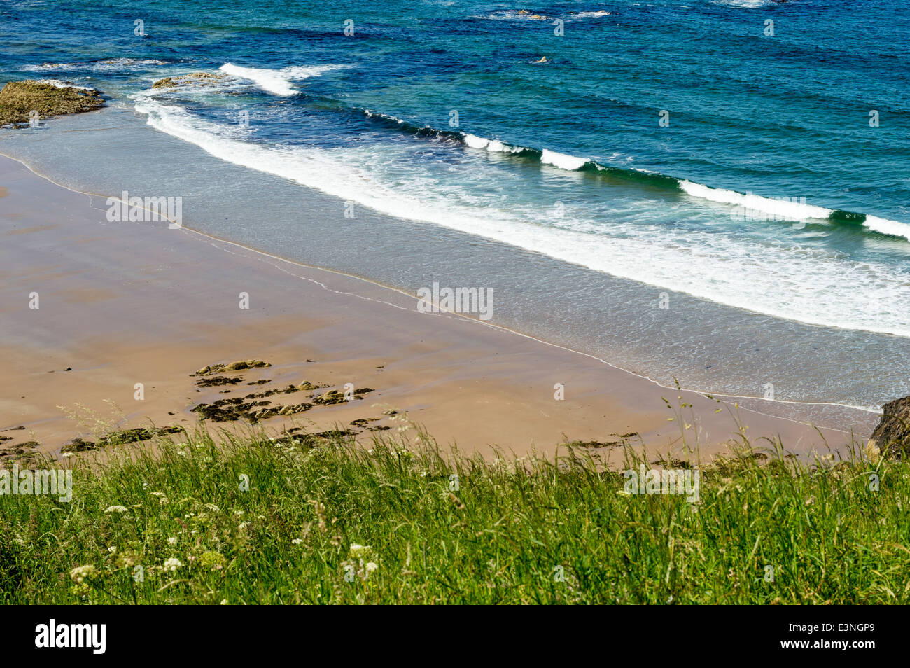 SUNNYSIDE BAY IN DER NÄHE VON CULLEN ABERDEENSHIRE KÜSTE SCHOTTLANDS AN EINEM FRÜHEN SOMMERTAG Stockfoto