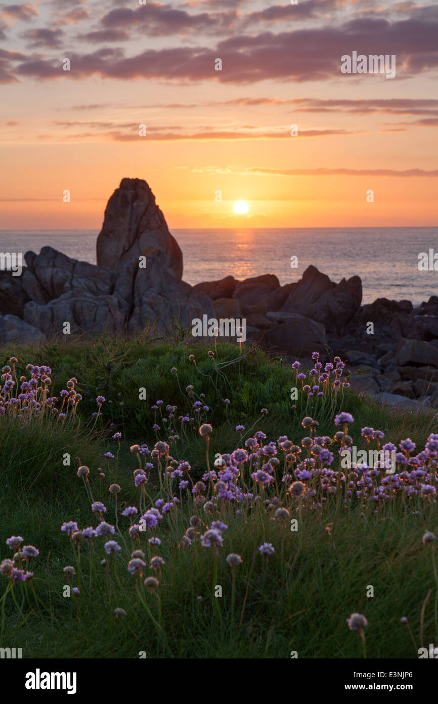 Guernsey Stockfoto