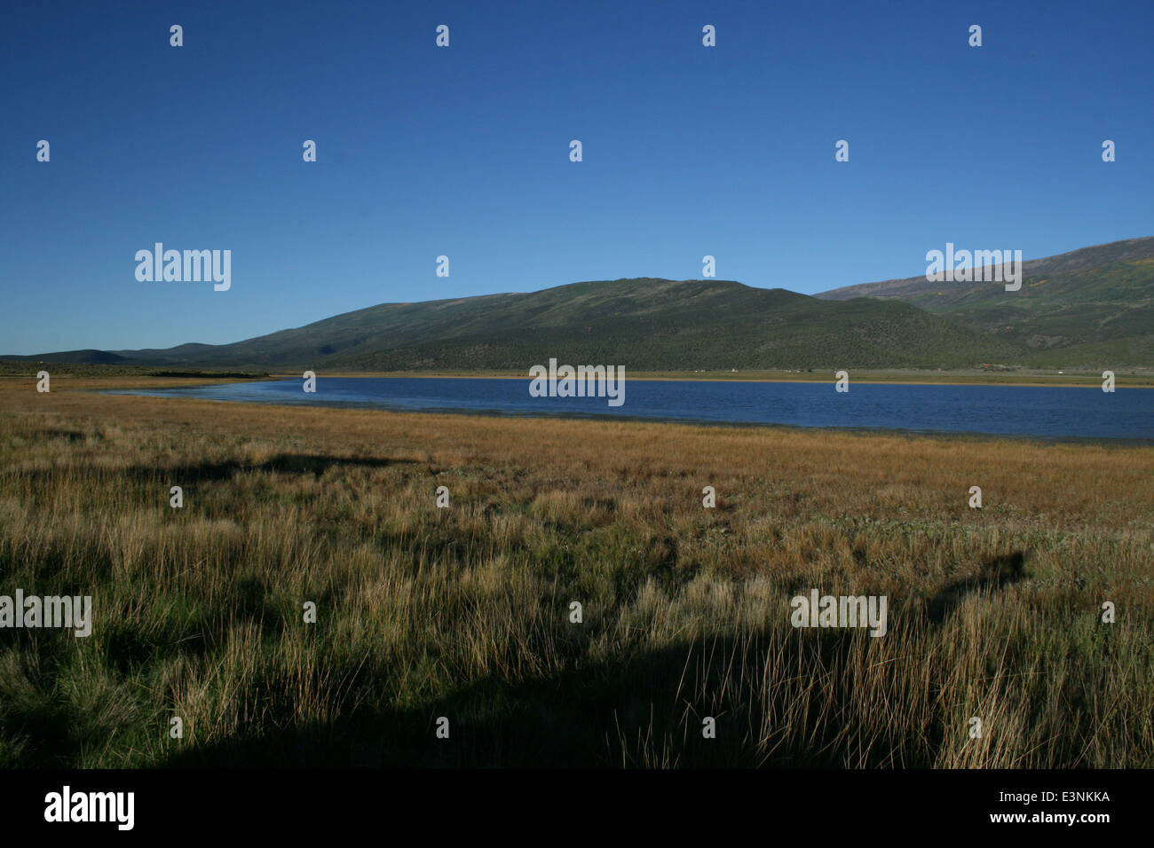 Siehe Und Steppe Stockfoto