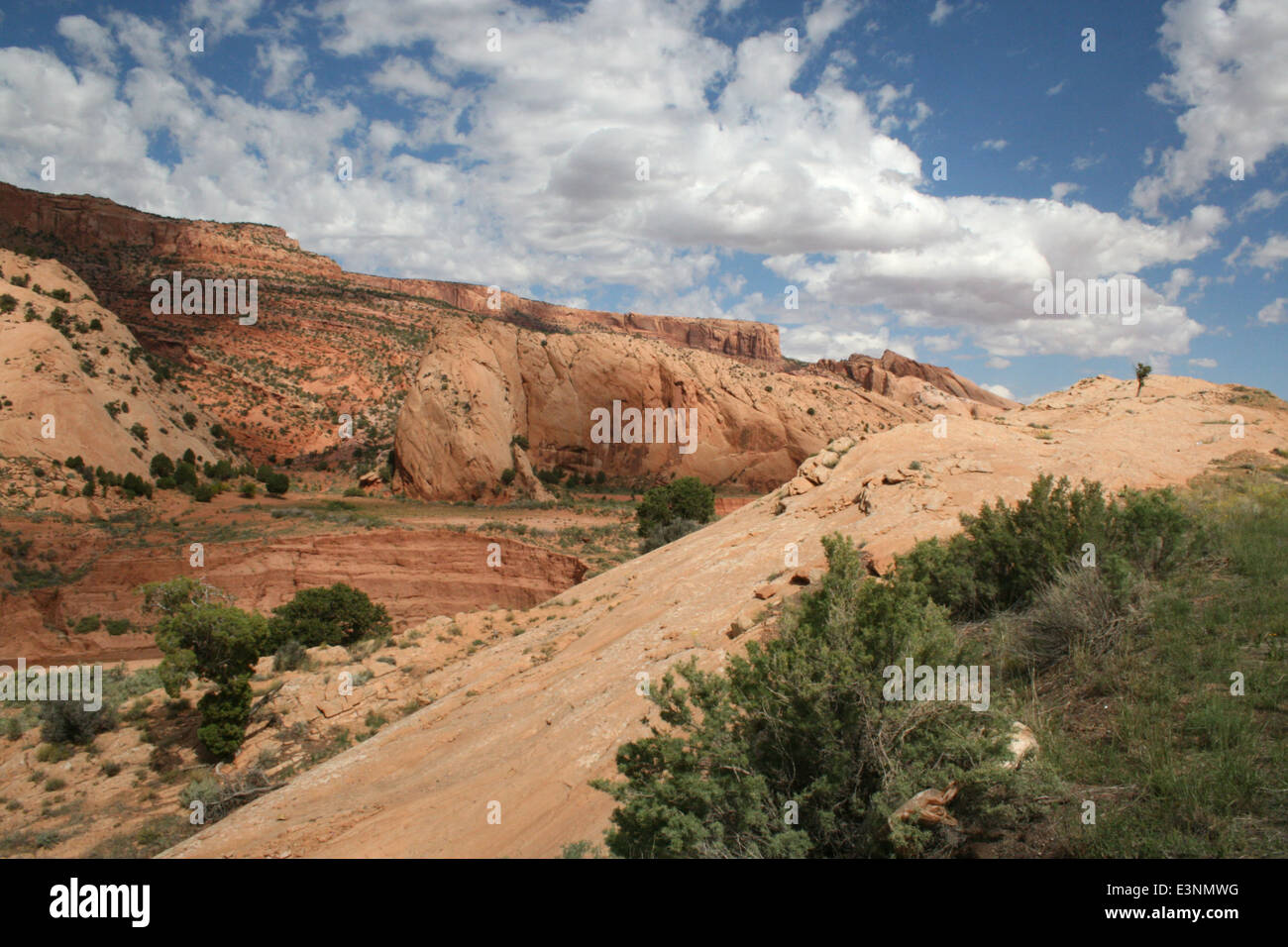 Zion Nationalpark-Landschaft Stockfoto