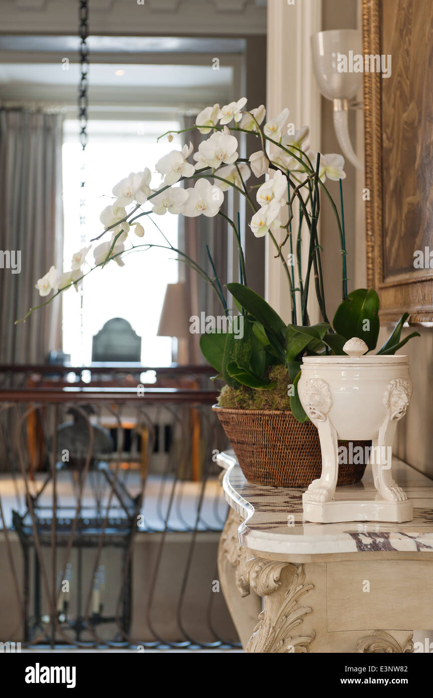 Weiße Orchideen auf eine Marmor gekrönt Beistelltisch Stockfoto