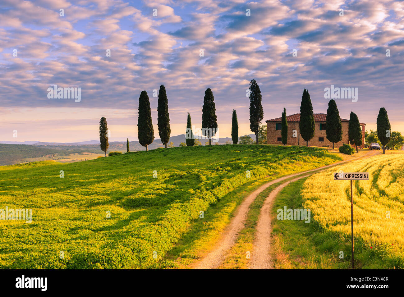 Podere I Cipressini mit den berühmten Zypressen im Herzen der Toskana, in der Nähe von Pienza, Italien Stockfoto