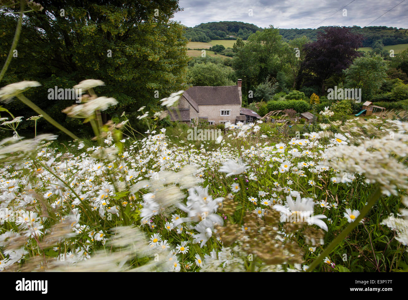 SLAD Tal, Stroud, Gloucestershire, UK. 26. Juni 2014.  JESSY LEE und CERYS MATTHEWS starten THE LAURIE LEE WILDLIFE Art ON LAURIES 100. Geburtstag Gloucestershire neueste Touristenattraktion - The Laurie Lee Wildlife Art – wird von Gloucestershire Wildlife Trust gestartet werden heute (26 Juni) als Bestandteil der Laurie Lee Jubiläumsfeier. Die Laurie Lee Wildlife Art, bestehend aus 11 Poesie "Beiträge" mit Lees Werk, wird von seiner Tochter vorgestellt werden Jessy Lee und BBC-Moderator, Musiker und Schriftsteller, Cerys Matthews am 26. Juni die Hundertjahrfeier Lees Geburt. Bildnachweis: Nick Turner/Alamy Live Stockfoto