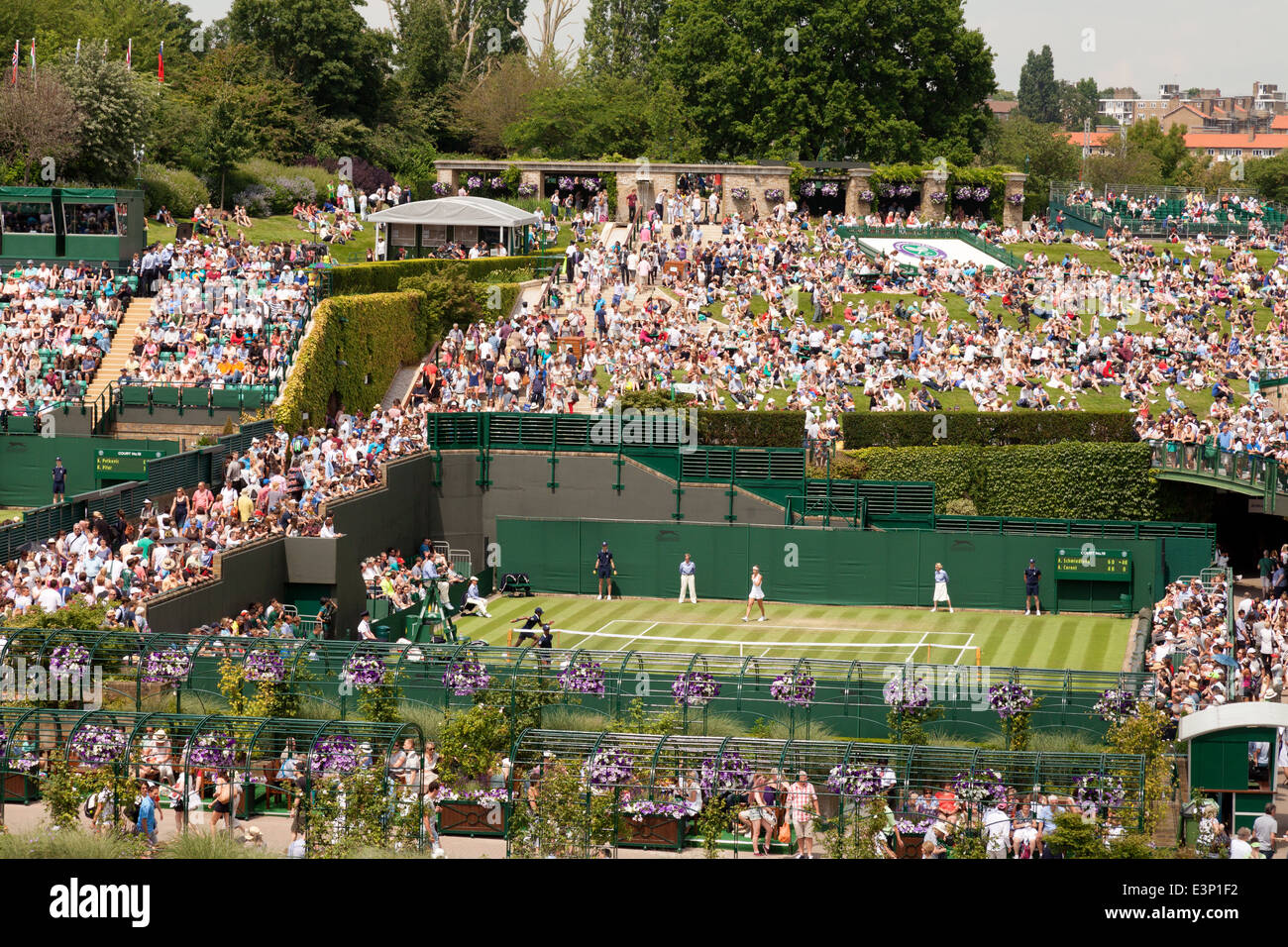 Wimbledon Tennis-Meisterschaften, Spiele, Gerichte und Menschenmengen, All England Lawn Tennis Club, Wimbledon, London SW19 UK Stockfoto