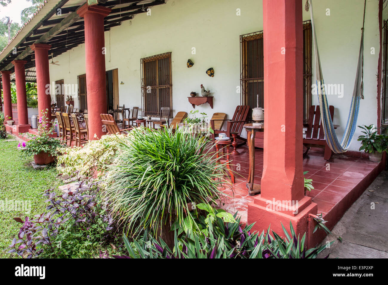 Hacienda Jesús María Kakao-Plantage in der Nähe von Comalcalco, Tabasco, Mexiko. Stockfoto