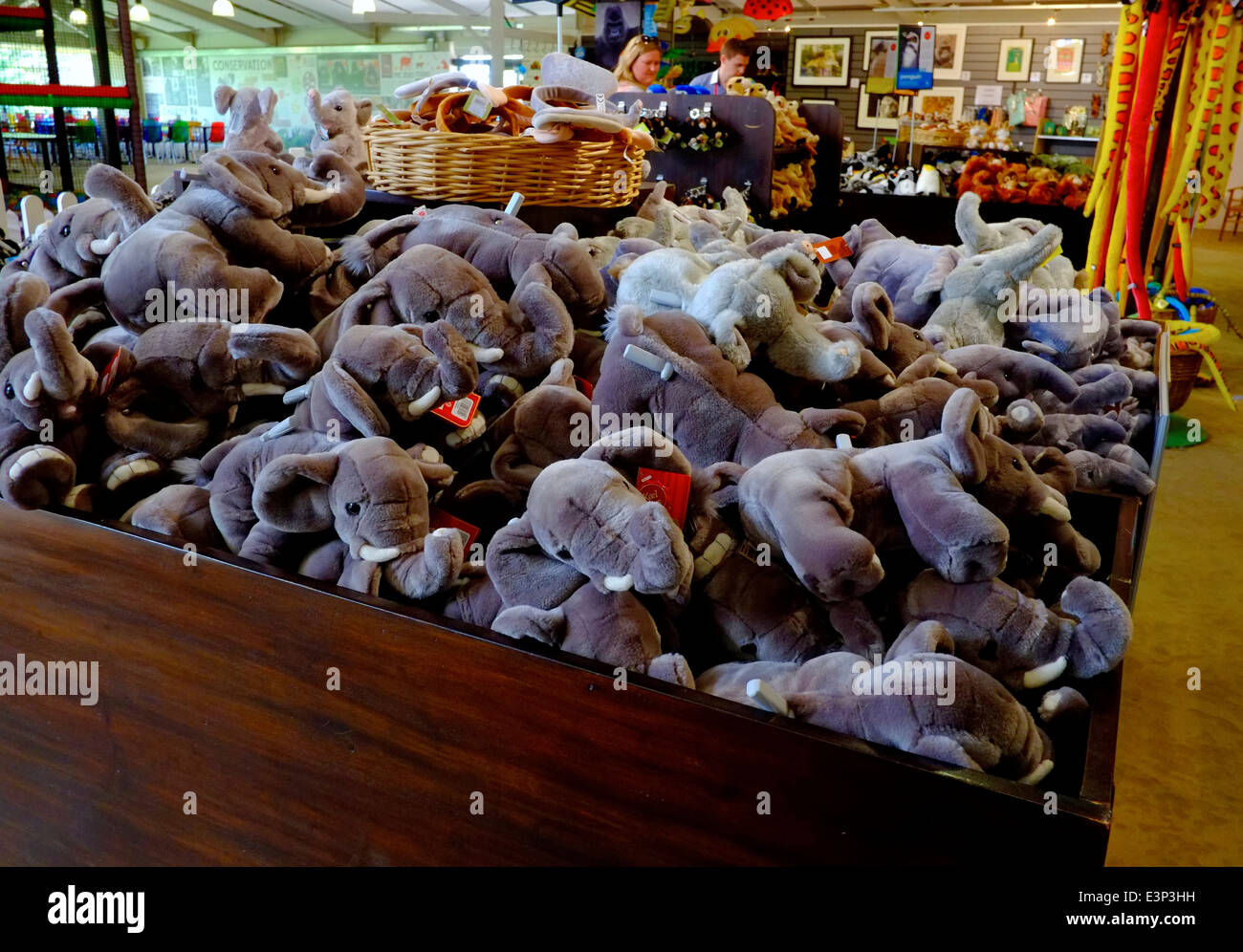 Kuscheltier Elefanten in einem Zoo-Geschenk-Shop gestapelt. Twycross Zoo England UK Stockfoto
