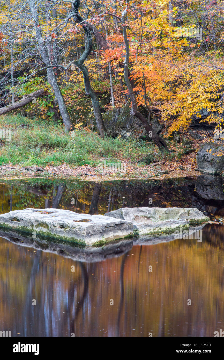Herbst-Gabel des Clifty Creek in Anderson fällt Naturschutzgebiet in Bartholomew County, Indiana, USA Stockfoto