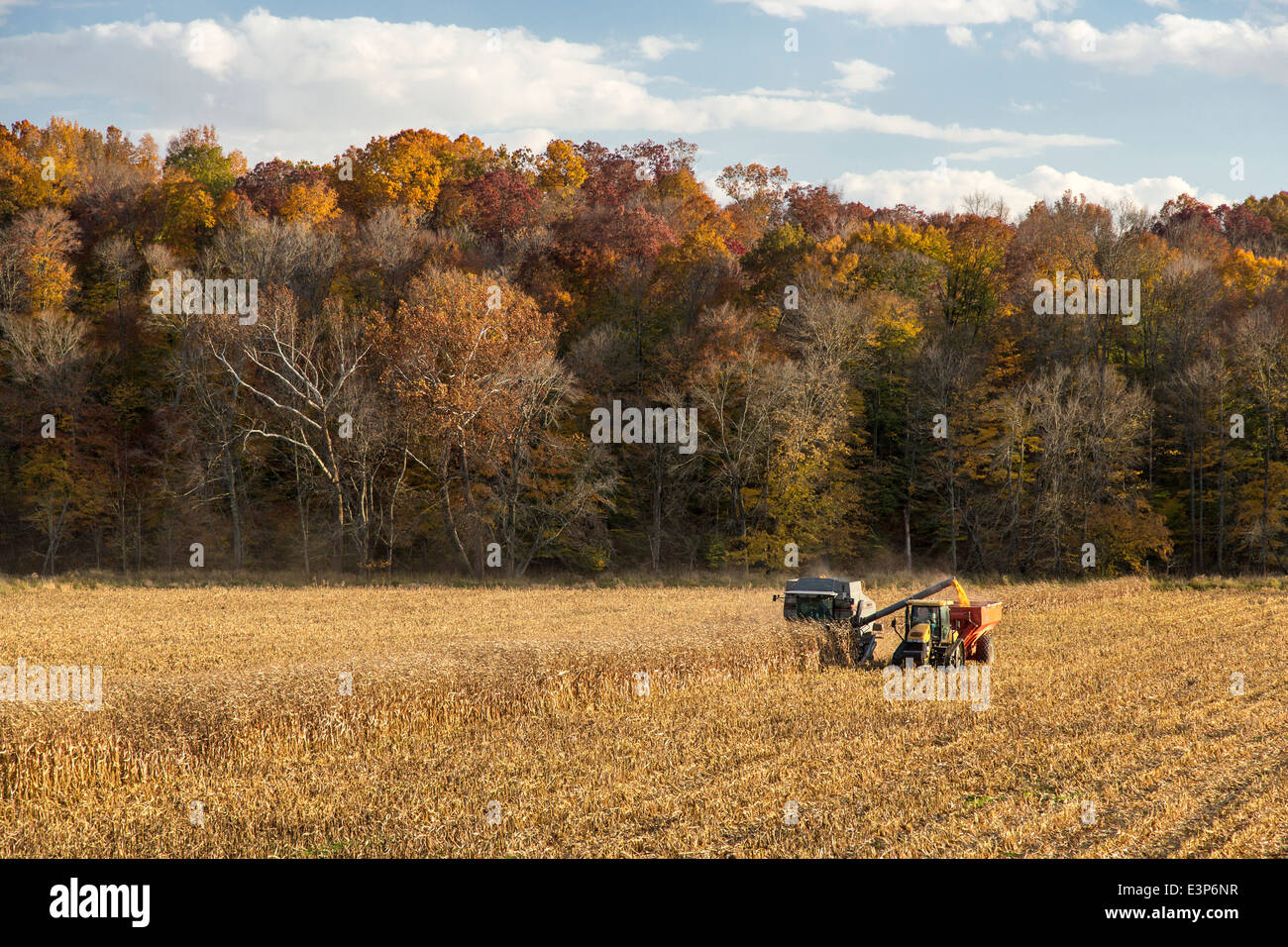 Maisernte im Brown County, Indiana, USA Stockfoto