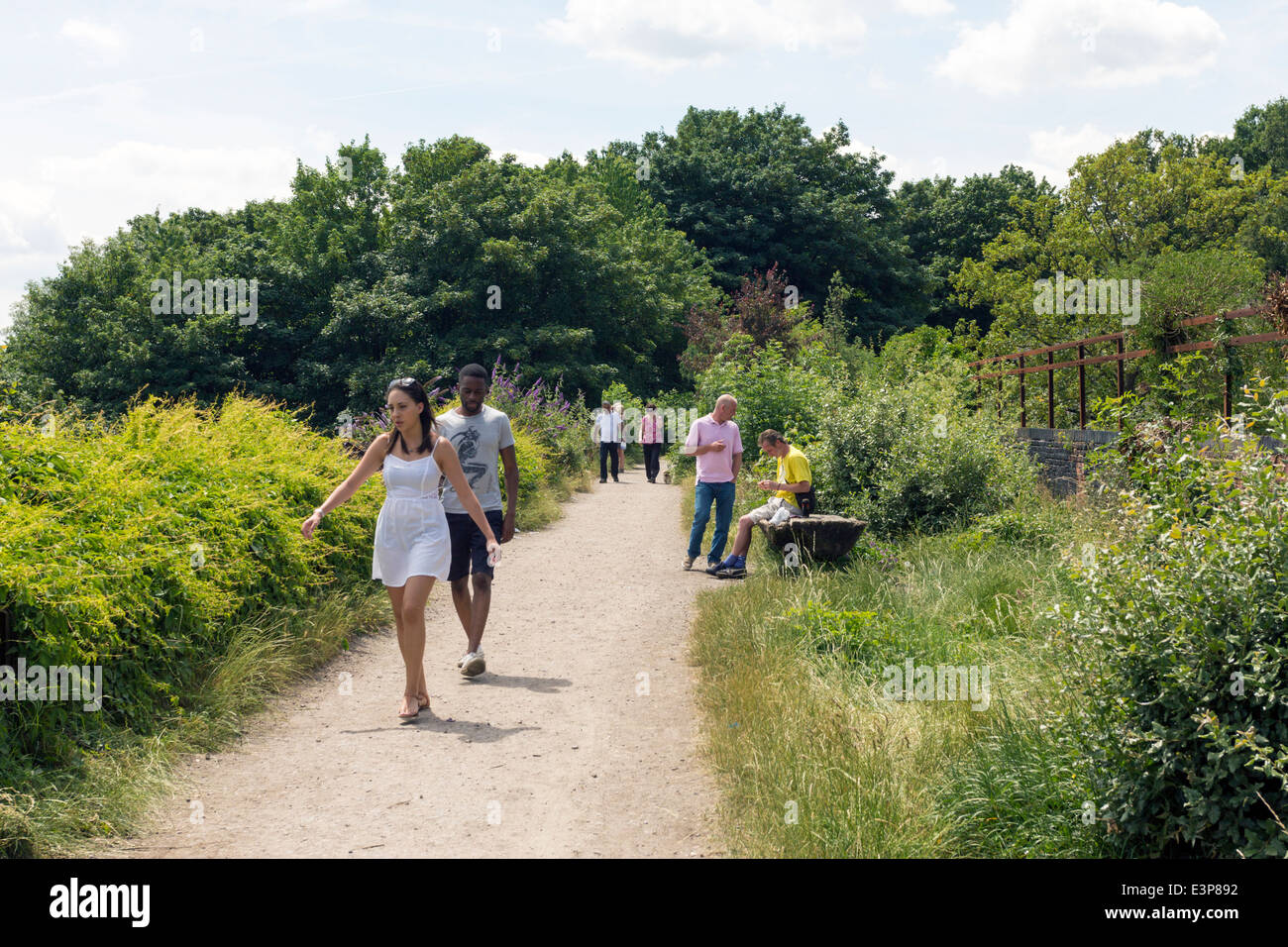 Parkland Spaziergang Natur Reserve - Muswell Hill - London Stockfoto