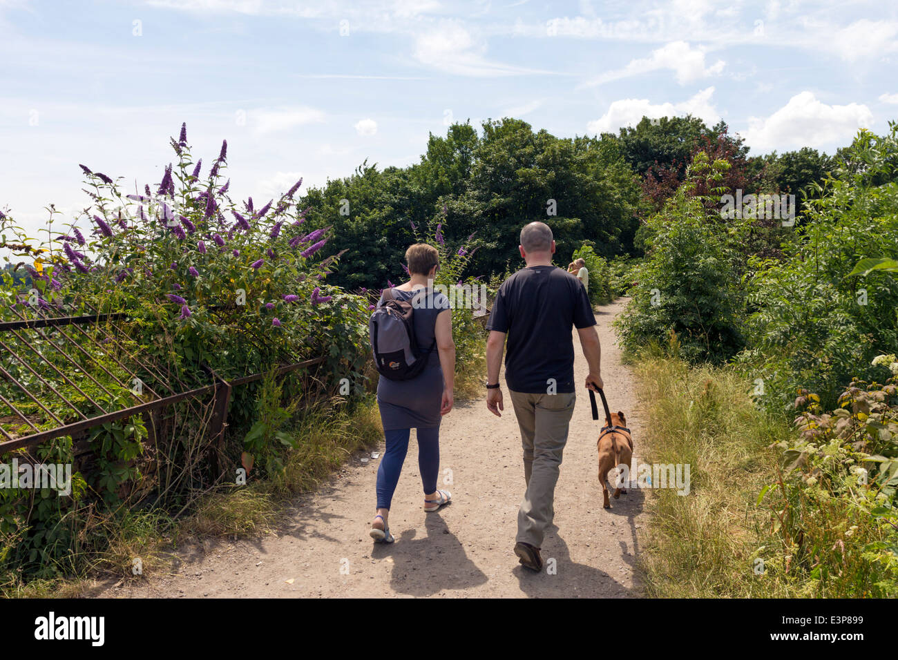 Parkland Spaziergang Natur Reserve - Muswell Hill - London Stockfoto