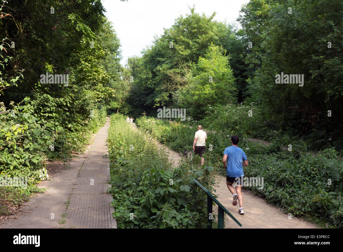 Parkland Spaziergang Natur Reserve - ehemalige Crouch End Bahnsteige - London Stockfoto