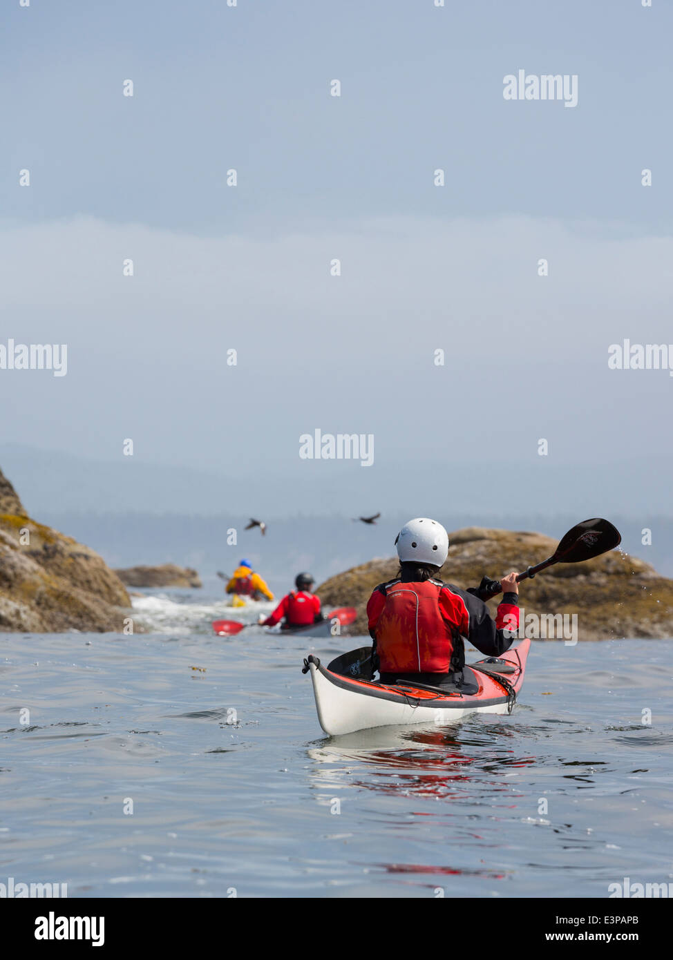 USA, US-Bundesstaat Washington. Frau und andere Meer Kajakfahrer, Zerstörung Insel, Olympic National Park (MR). Stockfoto