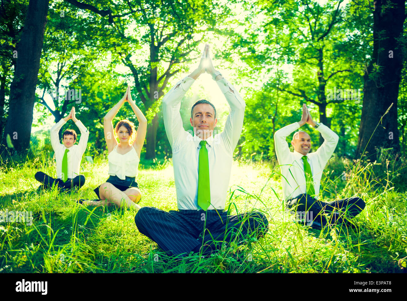 Gruppe von Business-Menschen-Dong-Yoga im Wald. Stockfoto