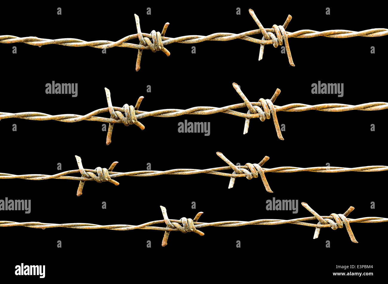 Stränge der Stacheldraht isoliert auf schwarz Stockfoto