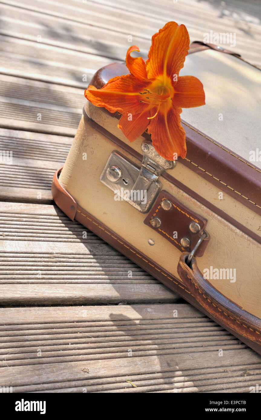 Blume auf einem kleinen Retro-Koffer auf Holzboden gelegt Stockfoto