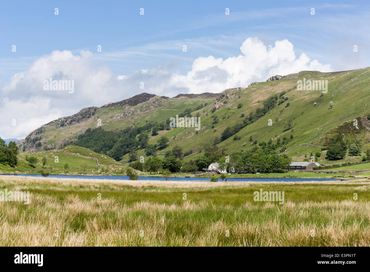 Watendlath Tarn, Borrowdale, Lake District, Großbritannien im Sommer mit Blick auf Bauernhof, Berge und blauer Himmel mit weißen flauschigen Wolken Stockfoto