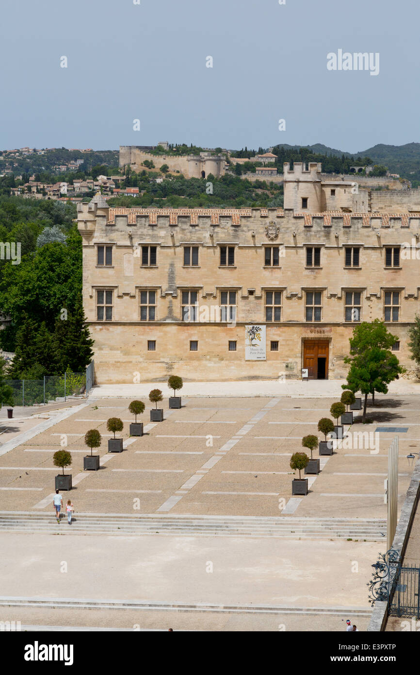 Das Museum du Petit Palais in Avignon, Provence, Frankreich Stockfoto