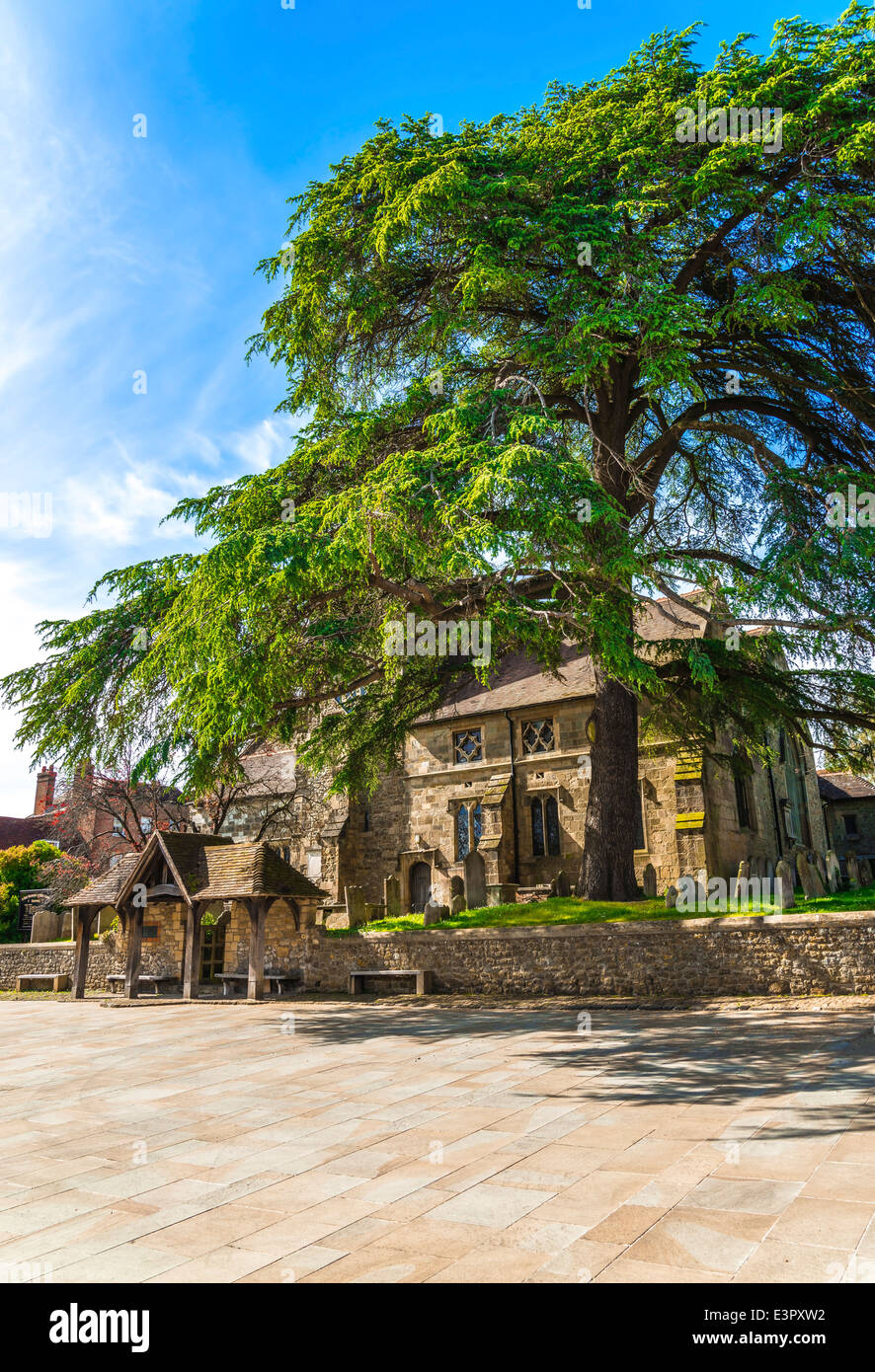 Kirche St Mary Maydalene & St. Denys in Midhurst, West Sussex Stockfoto