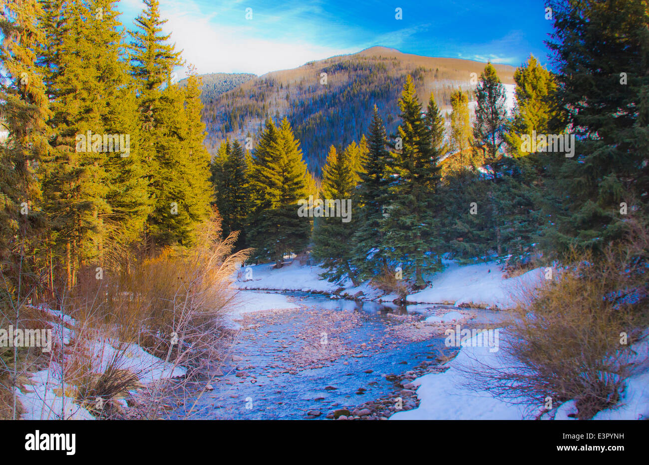 verschneite Szene von Creek und Pinien in Vail Colorado Stockfoto