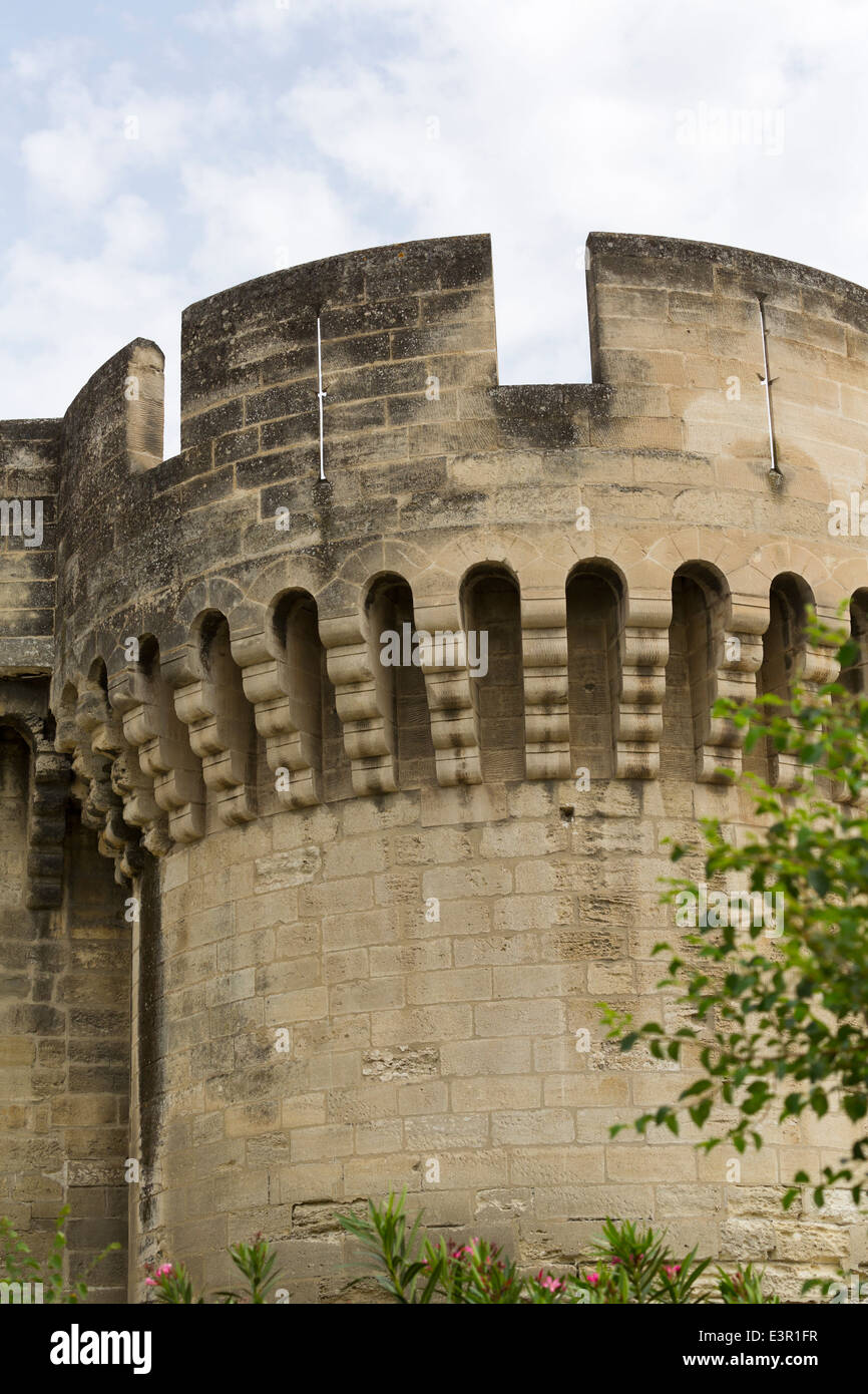 Teil der Stadtmauer in Avignon, Provence, Frankreich Stockfoto