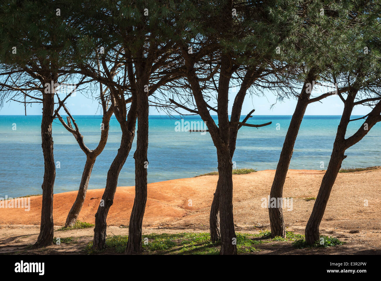 Blick von den Klippen über dem Strand Praia de Falesia zwischen Vilamoura und Albufeira an der Algarve, Portugal. Stockfoto