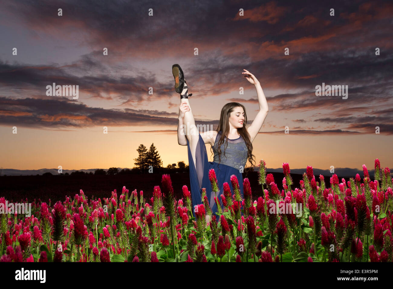 Ballerina tanzen in einem Klee-Feld bei Sonnenuntergang Stockfoto