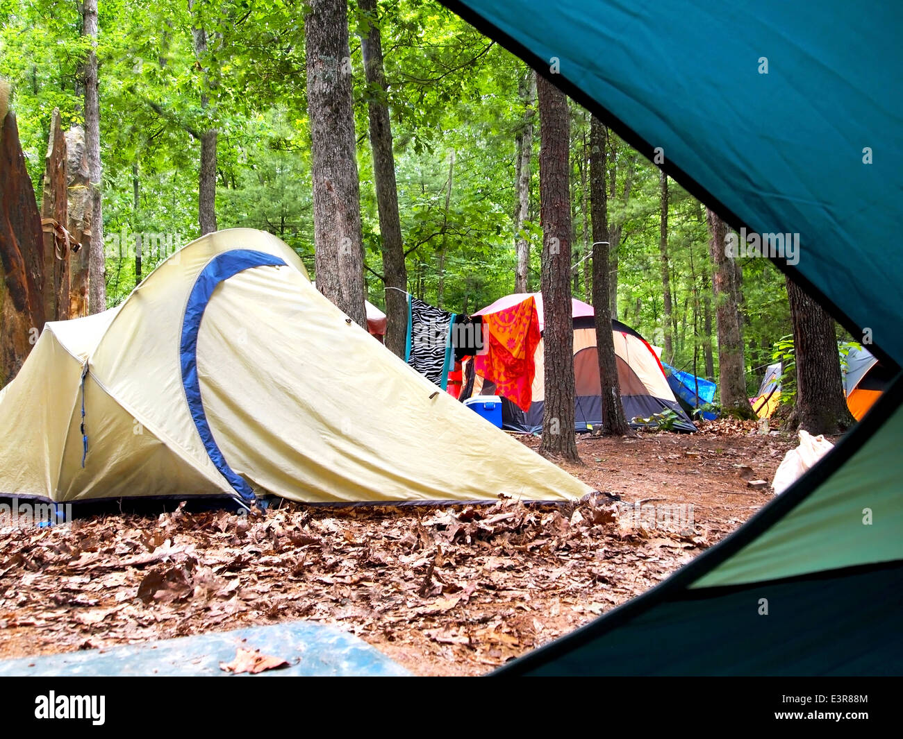 Blick auf dem Campingplatz durch eine offene Zelttür. Stockfoto