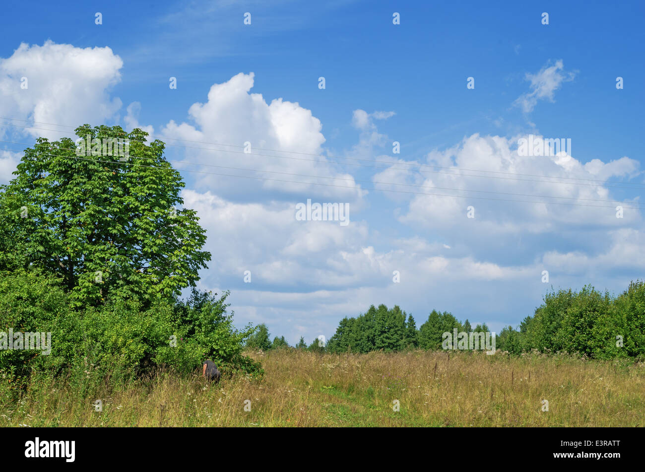 Dorf Sommerwiese Stockfoto