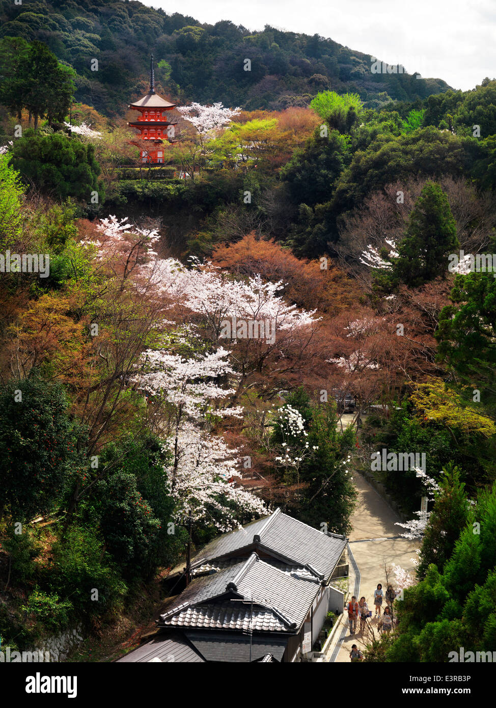 Pagode des Kiyomizu-Dera Tempel während der Kirschblüte im Frühjahr 2014 in Higashiyama, Kyoto, Japan. Stockfoto