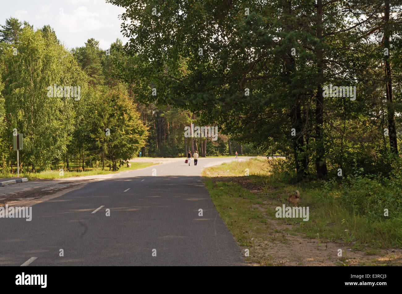 Sommer ländliche Asphaltstraße Stockfoto