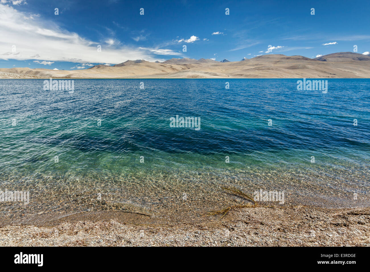 Himalaya-See Tso Moriri See im Himalaya, Ladakh, Indien Stockfoto