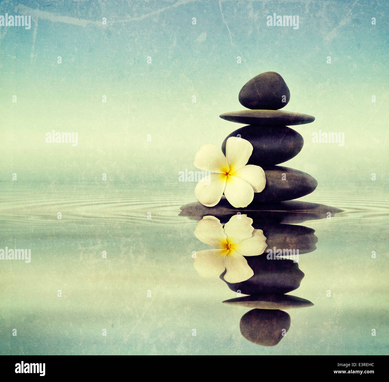 Zen Meditation Wellness Entspannung Hintergrund - ausgewogene Steinen Stack mit Frangipani Plumeria Blume Nahaufnahme Stockfoto