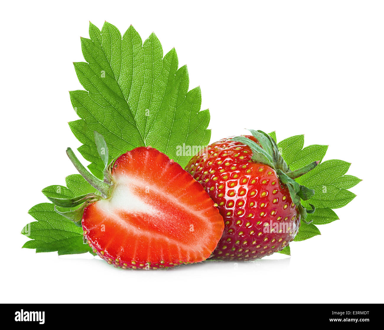 Erdbeeren hautnah auf weißem Hintergrund Stockfoto