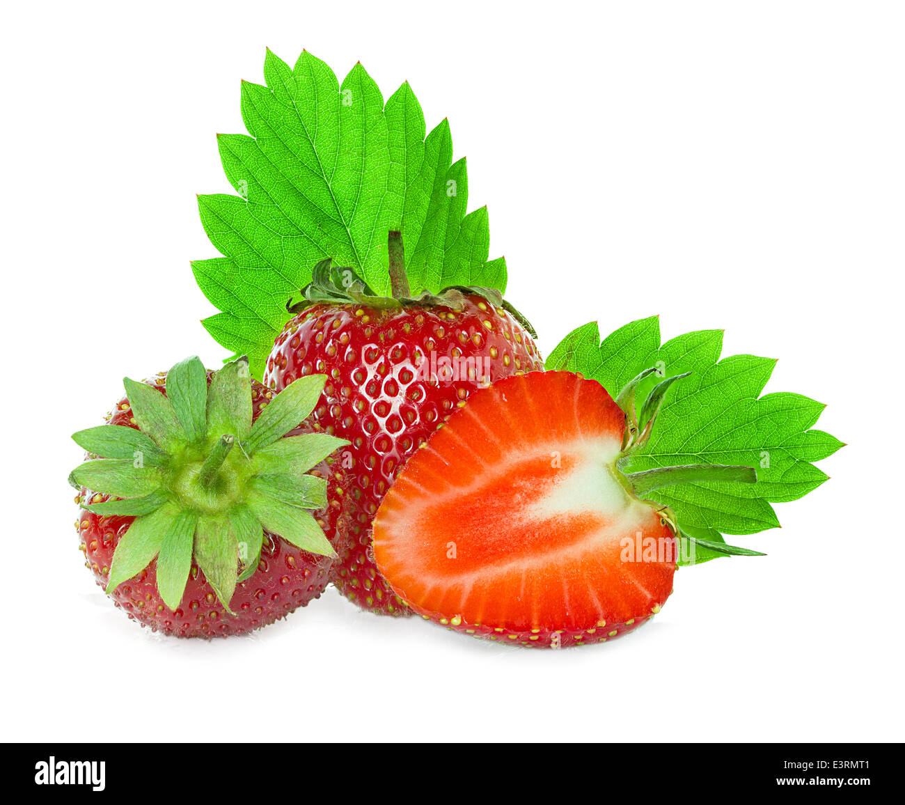 Erdbeeren hautnah auf weißem Hintergrund Stockfoto