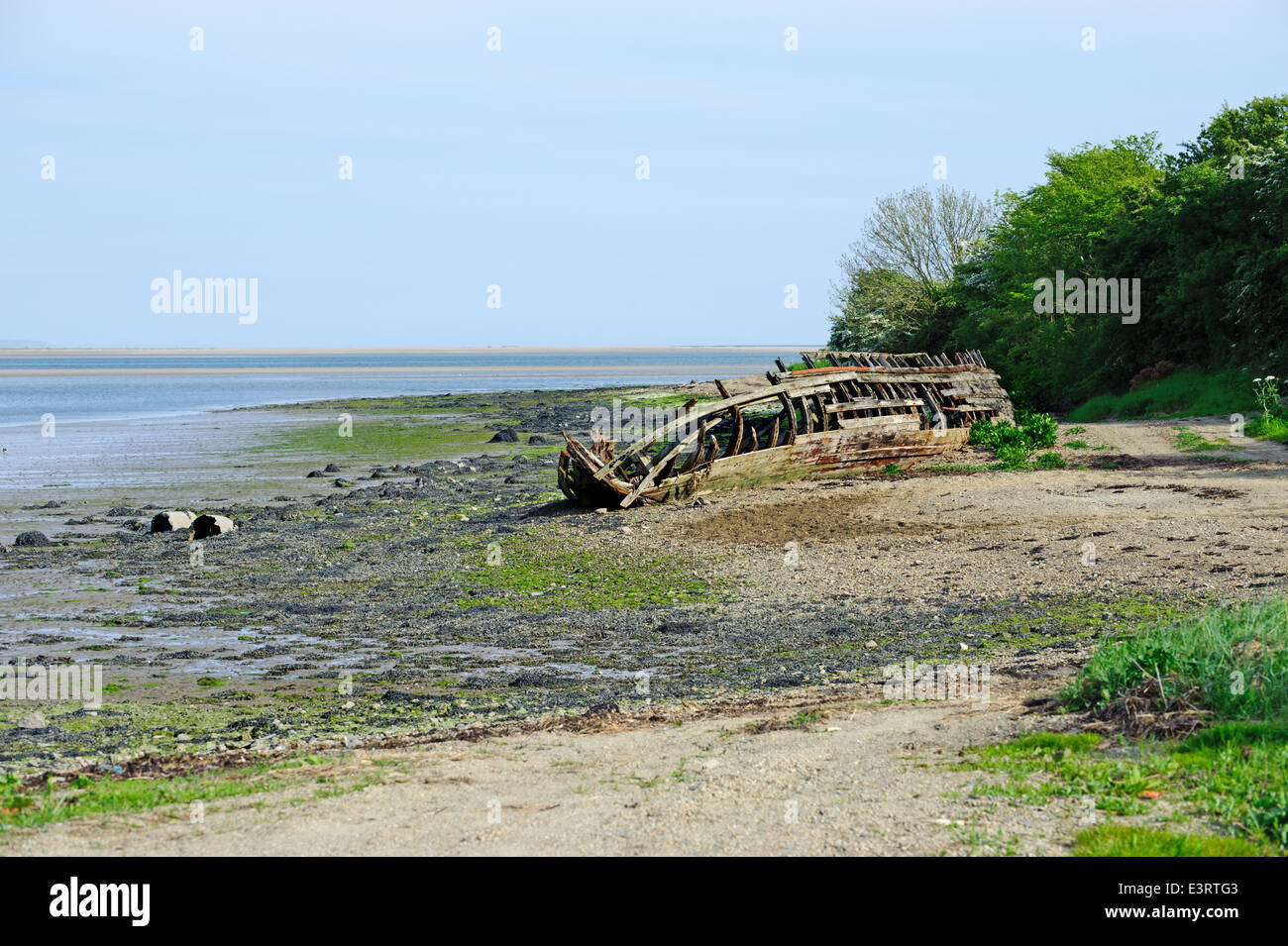 Altes Fischerboot in der Nähe von Saltmills, Co. Wexford, Irland Stockfoto