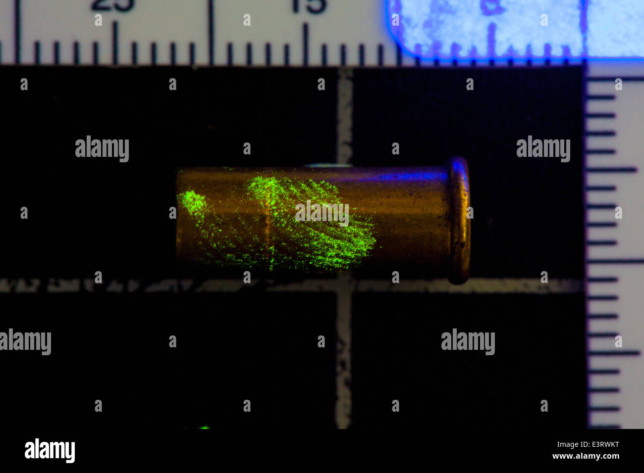 Florescence eingefärbt erweiterte Fingerabdruck ridge Detail auf .22 Munition Gehäuse mit UV-Licht beleuchtet Stockfoto